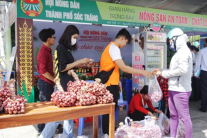 Sóc Trăng: Phát triển hành tím Vĩnh Châu- sản phẩm OCOP 3 sao