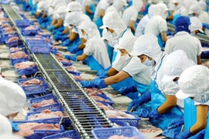 Vĩnh Hoàn (VHC) đứt mạch tăng trưởng liên tục, doanh thu tháng 11 xuống gần thấp nhất năm