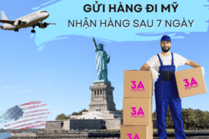 Dịch vụ gửi hàng đi Mỹ giá rẻ uy tín tại 3A Express