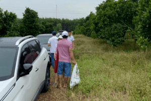 “Thời tới” cho người sẵn tiền mặt: Mua 1 gấp 3?