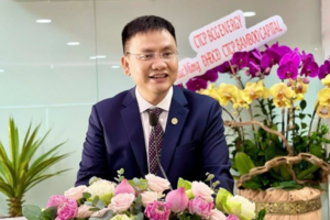 Ông Nguyễn Hồ Nam hoàn tất mua vào 5 triệu cổ phiếu Bamboo Capital (BCG) sau sự cố bị giải chấp
