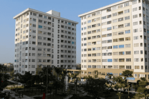 Bản tin bất động sản số 49/2022