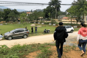 Thị trường bất động sản vào “mùa gặt” nhưng thất thu