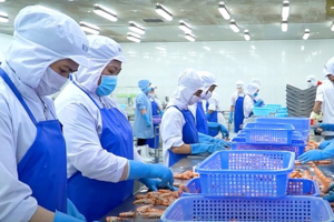 Ngành thủy sản Đồng bằng sông Cửu Long: Khai thác hiệu quả các FTA
