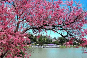 Loạt tin vui, “mùa xuân” có đến sớm với thị trường bất động sản?