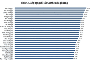 Chỉ số Phát triển bền vững PSDI 2021, Đà Nẵng và Hải Phòng dẫn đầu