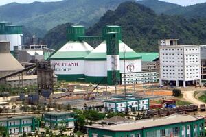 Xử phạt Xi măng Công Thanh 210 triệu vì sử dụng khu vực biển trái phép