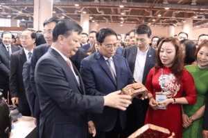 Thủ tướng chủ trì Hội nghị triển khai Nghị quyết của Bộ Chính trị về phát triển Vùng đồng bằng sông Hồng
