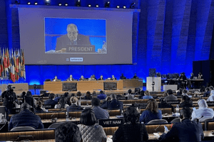Việt Nam trúng cử Phó Chủ tịch Ủy ban Bảo vệ đa dạng văn hóa của UNESCO