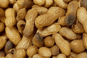 Lạc có dấu hiệu này thì dứt khoát đừng ăn vì có thể độc gấp 68 lần thạch tín, gây ung thư gan