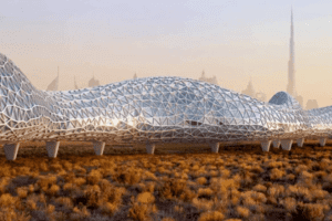 Độc lạ ở Dubai: 0% thuế thu nhập cá nhân, sở hữu 20% số cần cẩu trên thế giới, xây đại lộ dài 93km có điều hòa chỉ để đi bộ, đạp xe