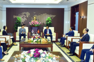 Khảo sát phát triển nguồn năng lượng sinh khối tại Hà Tĩnh