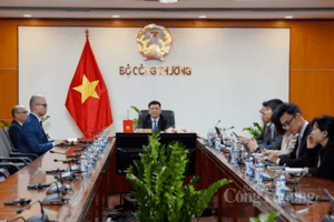 Cuộc họp trực tuyến cấp Bộ trưởng giữa các nước thành viên Hiệp định CPTPP và Vương quốc Anh