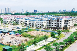 Giá đất theo thị trường, tính theo phương án nào?