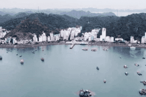 Hai lần đấu giá bất thành tài sản làm dự án du lịch cao cấp ở Cát Bà