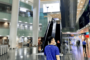 Nhiều trung tâm thương mại từng phải "lột xác" để sống sót