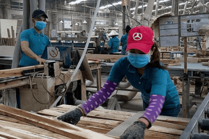 Việt Nam là thị trường cung cấp đồ nội thất bằng gỗ lớn thứ 4 cho Canada