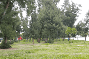 Dự án Khu du lịch biển Mỹ Khê 'xí' đất vàng ven biển suốt 13 năm bị khai tử