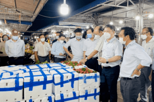 Lãnh đạo TP. Hồ Chí Minh chỉ đạo khẩn liên quan các chợ đầu mối