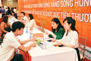 Phát triển thị trường trong nước: Hiệu quả cao từ liên kết vùng