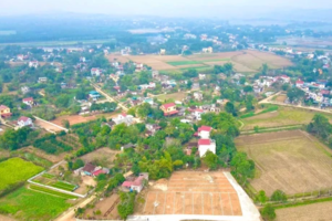 Xuất hiện hình thức đầu tư mới: Nhà đầu tư gom đất ruộng, phân lô thành đất nghĩa trang