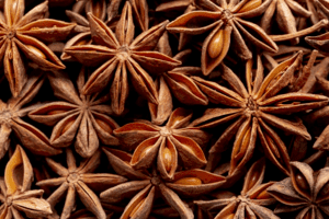 Việt Nam sẵn sàng tham gia thị trường dược liệu toàn cầu