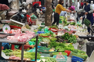 TP. Hồ Chí Minh: Kéo dài thời gian thí điểm hoạt động Ban quản lý An toàn thực phẩm