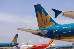 Cục Hàng không Việt Nam: Giá vé máy bay không được vượt giá trần