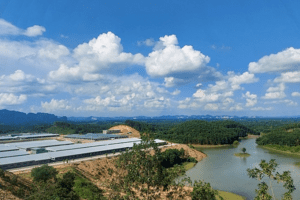 Thanh Hóa: Dự án Chăn nuôi công nghệ cao 5.000 tỷ đồng chậm tiến độ do giải phóng mặt bằng