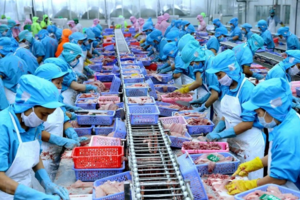 Bộ Công Thương sẽ hỗ trợ doanh nghiệp kết nối, khai thác hiệu quả FTA Việt Nam - Israel