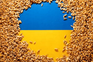 EU phản đối các lệnh cấm ngũ cốc Ukraine của Ba Lan và Hungary