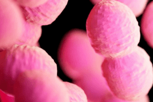 Sắp có loại kháng sinh 'biến hình' chống lại siêu vi khuẩn chết người