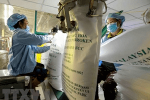 Nhu cầu tăng, xuất khẩu gạo Việt Nam kéo dài đà tăng trưởng