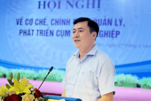 Thứ trưởng Nguyễn Sinh Nhật Tân chủ trì Hội nghị về Cơ chế chính sách quản lý, phát triển cụm công nghiệp