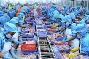 Tìm giải pháp gỡ khó cho ngành lâm, thuỷ sản