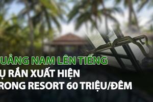 Sở VH-TT&DL tỉnh Quảng Nam lên tiếng vụ rắn xuất hiện trong resort 60 triệu đồng/đêm