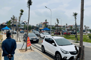 Đầu tư bất động sản: F0 từng liều ăn nhiều nhưng rồi gánh nợ khi thị trường quay đầu