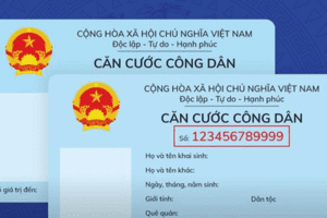 Đề xuất số định danh cá nhân là mã số thuế của cá nhân, đại diện hộ gia đình