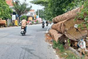 Thừa Thiên Huế: Nhức nhối tình trạng lấm chiếm Quốc lộ 49B