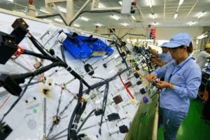 Bắc Giang lập cụm công nghiệp rộng 65 ha