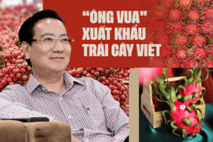 “Ông vua” xuất khẩu trái cây Việt: Chúng ta đang chọn những loại quả rất “yếu” để đi Mỹ