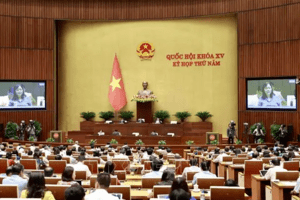 Ngày 22/6, Quốc hội thông qua hai Nghị quyết và hai Luật quan trọng