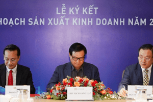 Người cũ Coteccons đang làm gì?