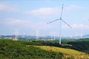 Tỉnh Quảng Trị điều chỉnh chủ trương đầu tư dự án điện gió Tân Hợp
