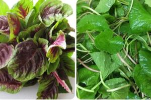 8 loại rau thải độc gan cực tốt, ăn vào đỡ táo bón, giá chỉ bằng cốc trà đá