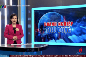 “Doanh nghiệp và Tiêu dùng” cập nhật Toàn cảnh thị trường Việt Nam và thế giới