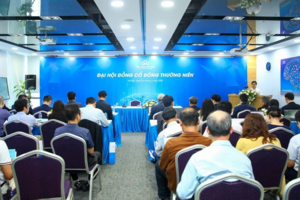 ĐHCĐ CMC: Chia cổ tức 12% bằng tiền mặt, cổ phiếu thưởng 20,2%