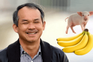 Dù mảng heo  hồi phục trong quý 2/2023, Hoàng Anh Gia Lai thoát lỗ là nhờ lợi nhuận khác