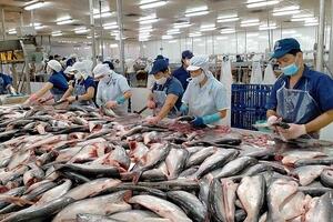 Xuất khẩu mặt hàng thủy sản chủ lực nào đã tăng ở 39 thị trường?