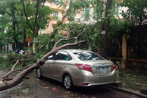 Hà Nội: Đề phòng cây gẫy đổ, tai nạn và chập cháy điện trong mùa mưa bão